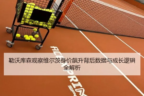 勒沃库森观察维尔茨身价飙升背后数据与成长逻辑全解析 | kaiyun